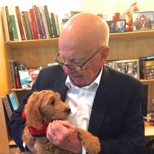 Rupert Murdoch and his new puppy (Photo: Murdoch Here/Tumblr)