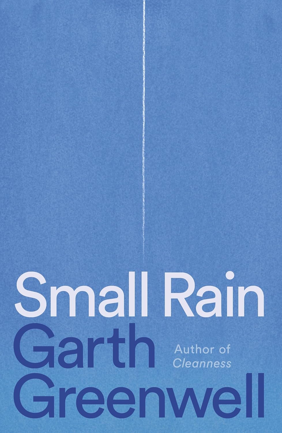 The cover of Small Rain