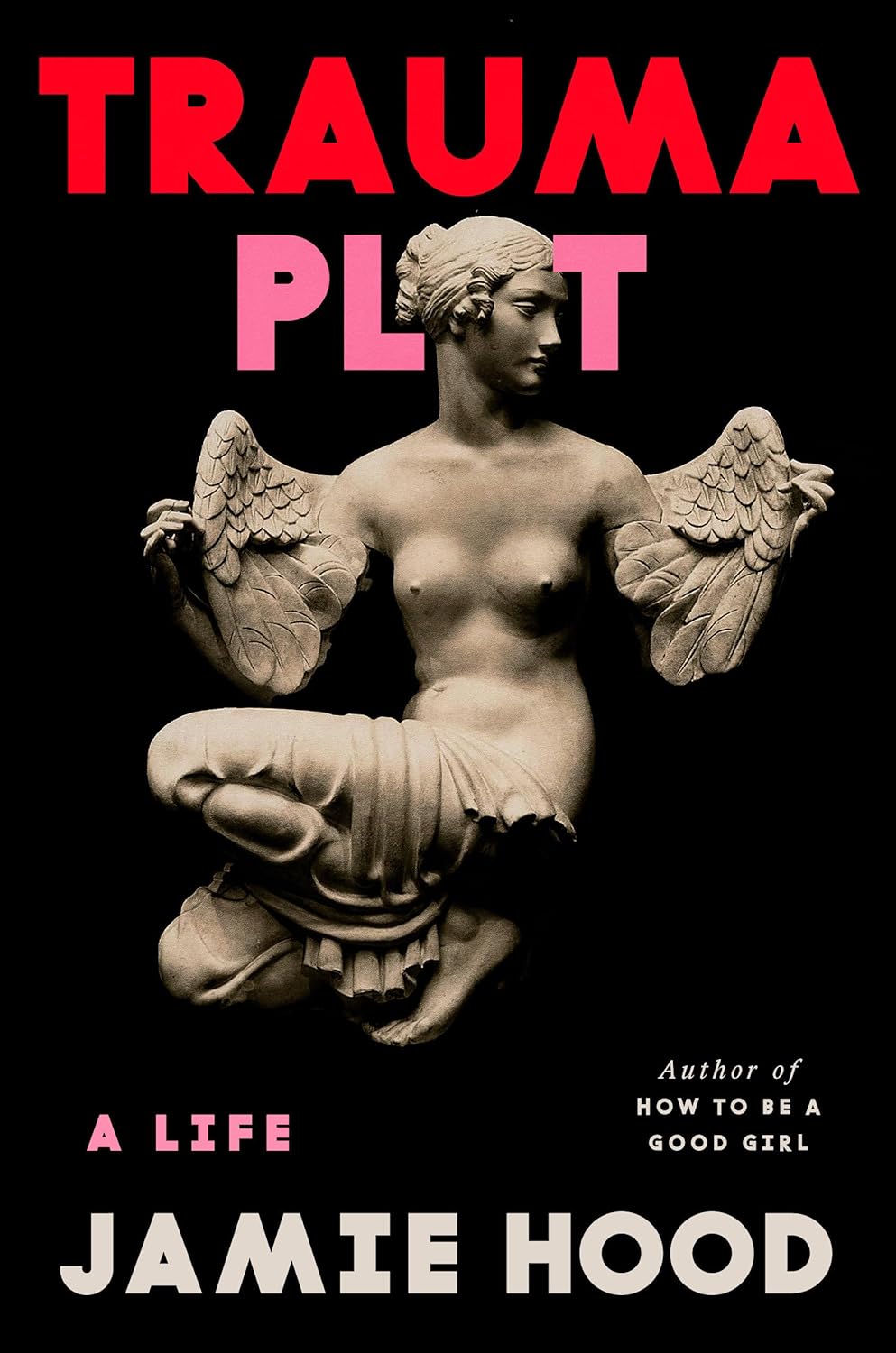 The cover of Trauma Plot: A Life