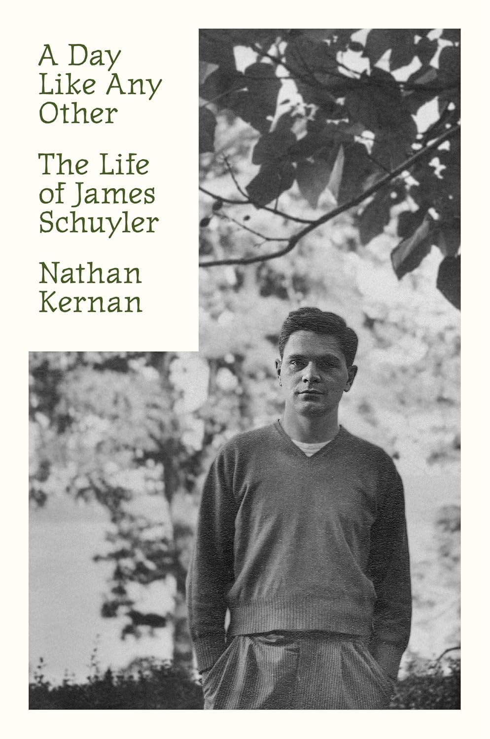 The cover of A DAY LIKE ANY OTHER: THE LIFE OF JAMES SCHUYLER  ?