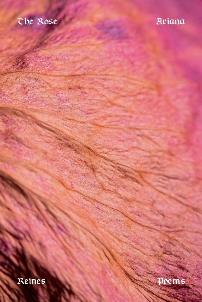 The cover of The Rose