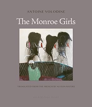 The cover of The Monroe Girls