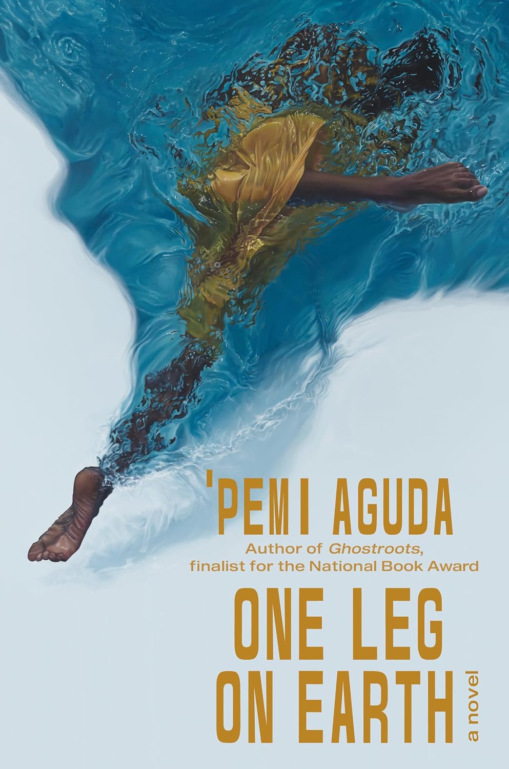 The cover of One Leg on Earth