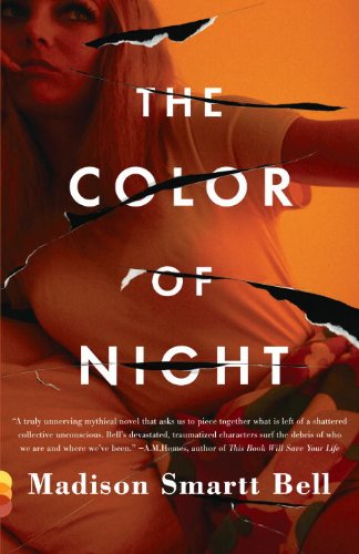Cover of The Color of Night (Vintage Contemporaries)