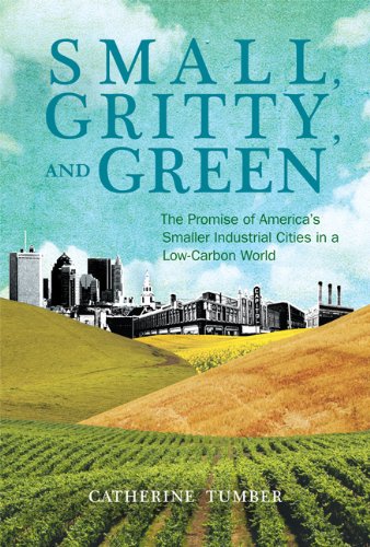 The cover of Small, Gritty, and Green: The Promise of America&#8217;s Smaller Industrial Cities in a Low-Carbon World (Urban and Industrial Environments)