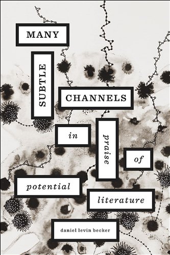 Cover of Many Subtle Channels: In Praise of Potential Literature