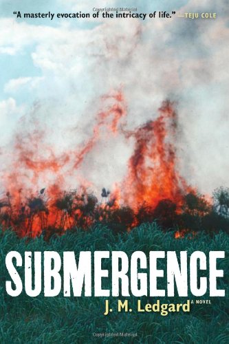 Cover of Submergence