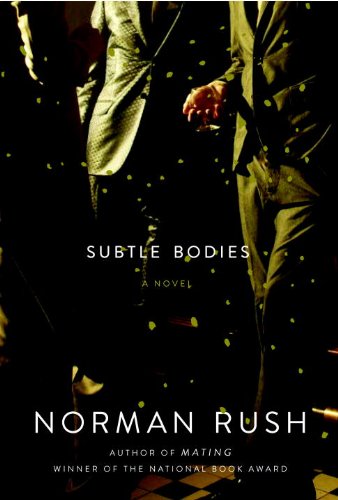 The cover of Subtle Bodies