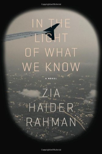 Cover of In the Light of What We Know: A Novel