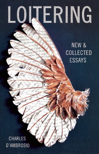 The cover of Loitering: New and Collected Essays