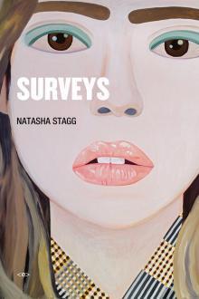 Cover of Surveys: A Novel (Semiotext(e) / Native Agents)