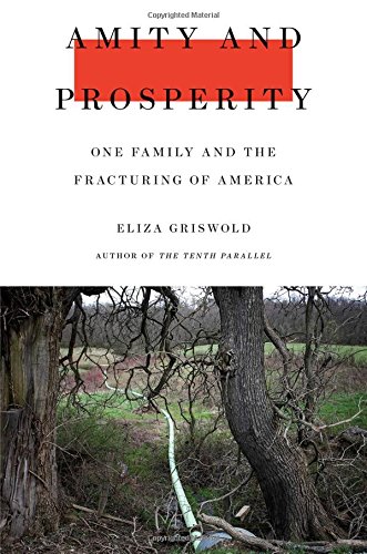 The cover of Amity and Prosperity: One Family and the Fracturing of America