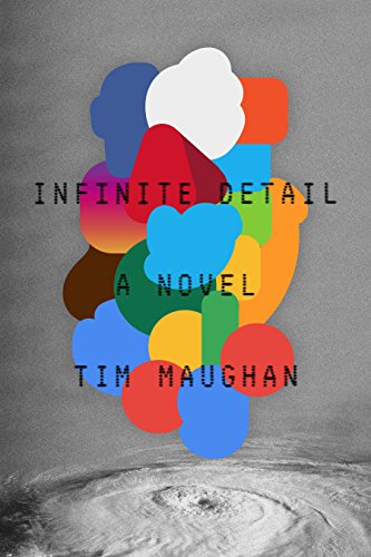 Cover of Infinite Detail: A Novel