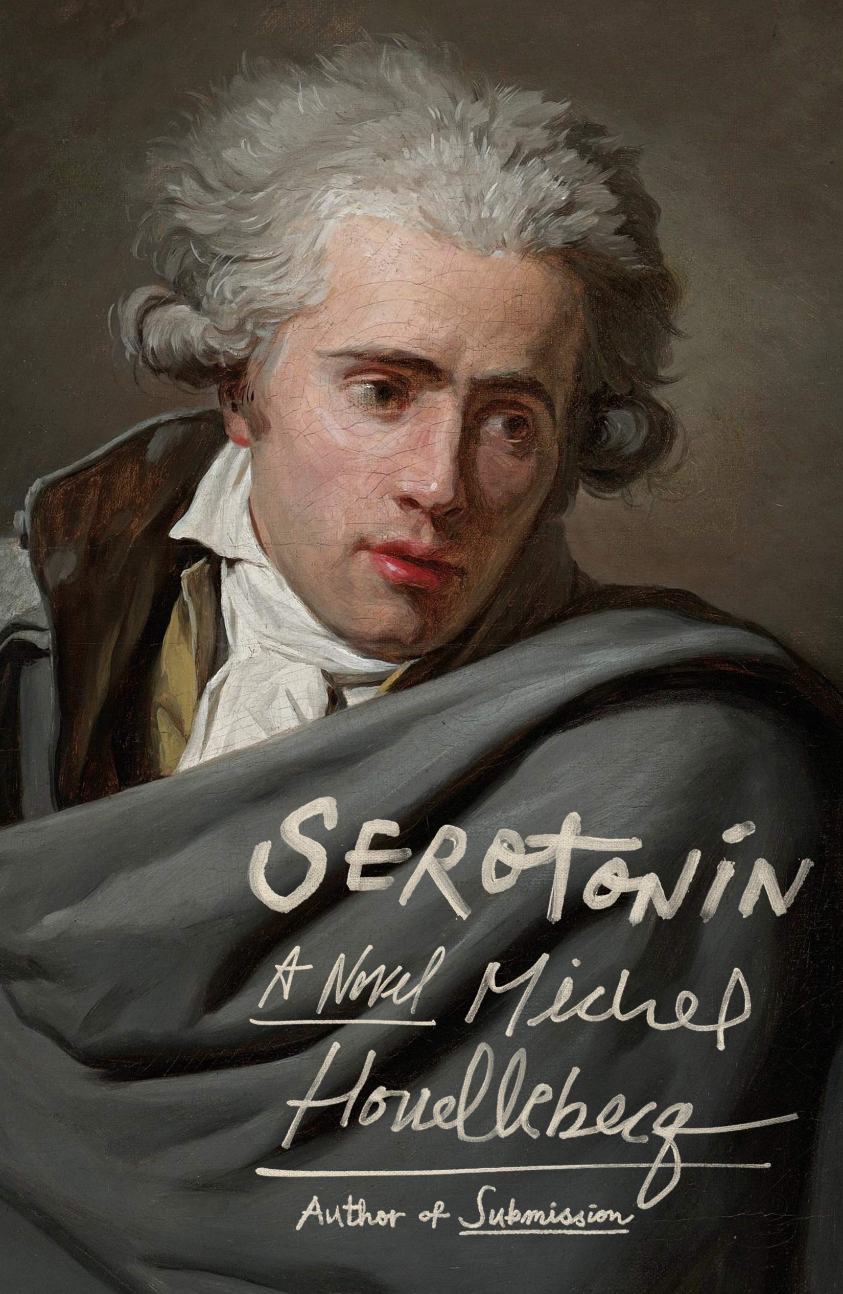 The cover of Serotonin
