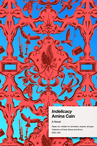 The cover of Indelicacy