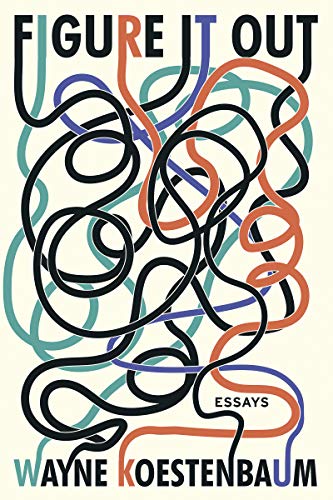 Cover of Figure It Out: Essays