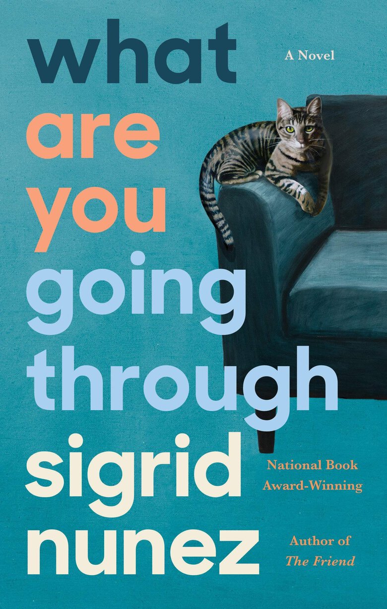 The cover of What Are You Going Through