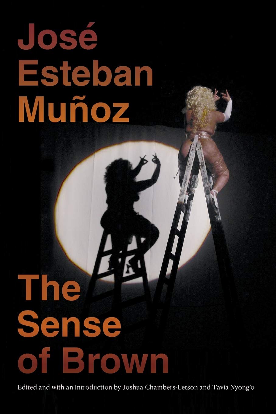 The cover of The Sense of Brown