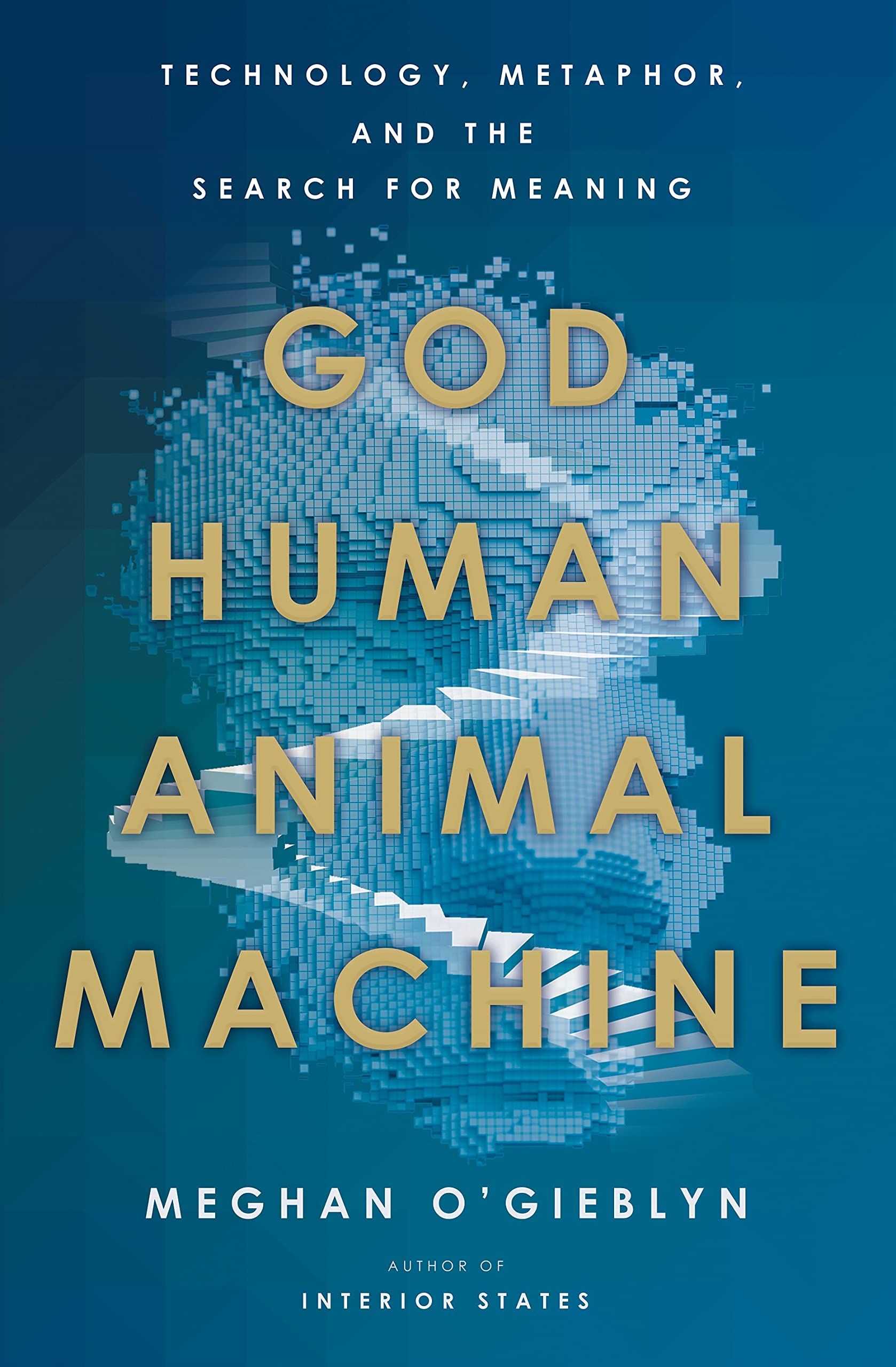 Cover of God, Human, Animal, Machine: Technology, Metaphor, and the Search for Meaning
