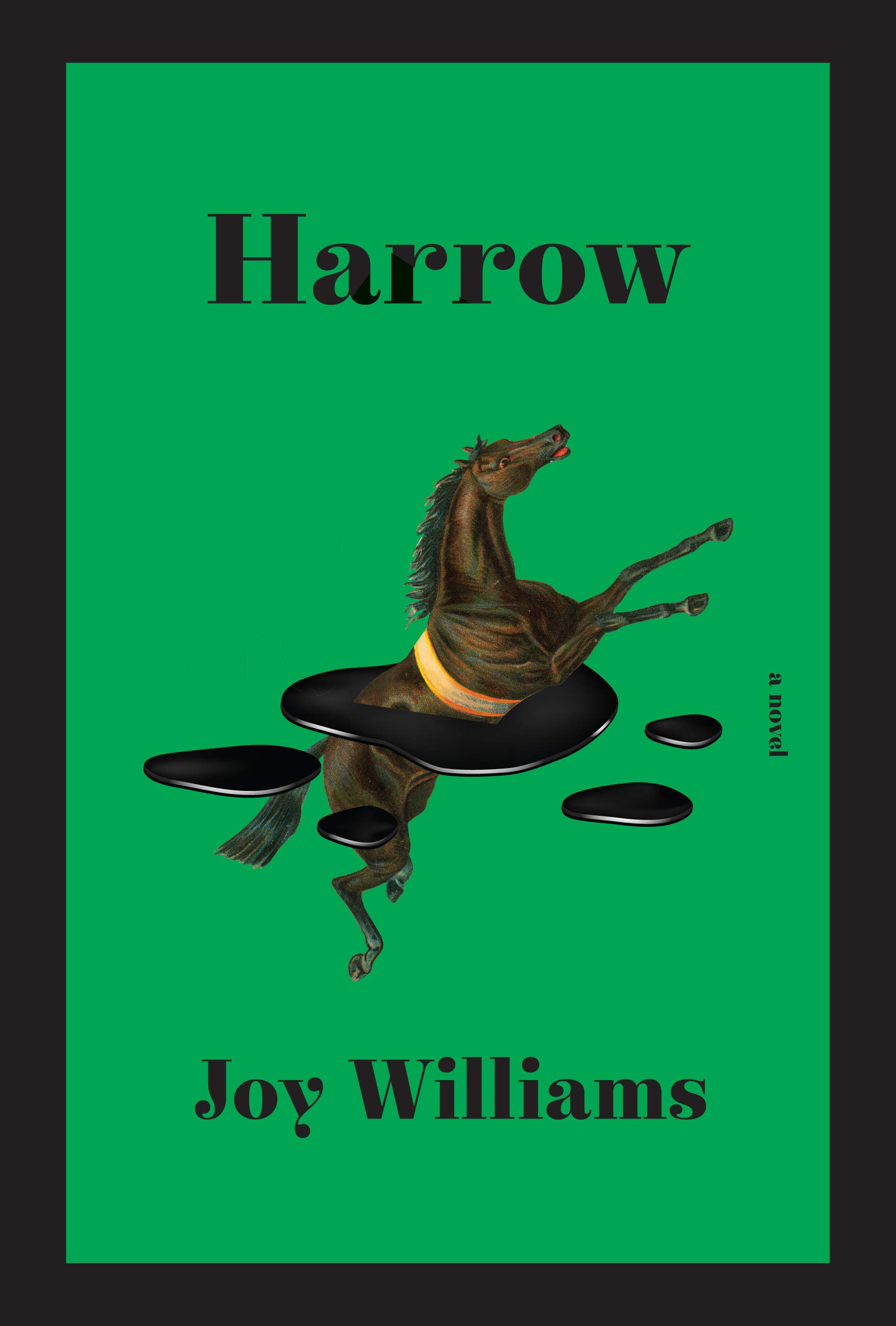 The cover of Harrow: A novel