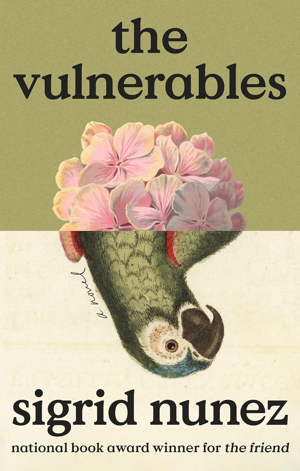The cover of The Vulnerables
