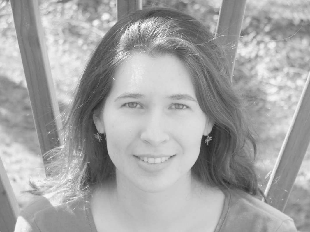 Idra Novey