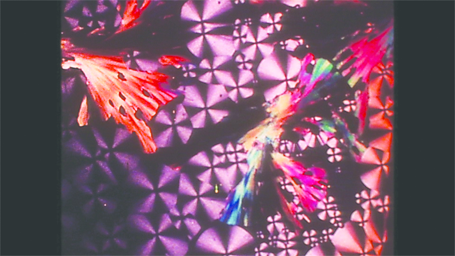 Jean Painlevé, Cristaux Liquides (Liquid Crystals), 1978.