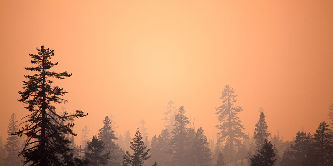 *Forest fire at Yosemite National Park, California, August 24, 2013.* Laurentia Romaniuk/Flickr