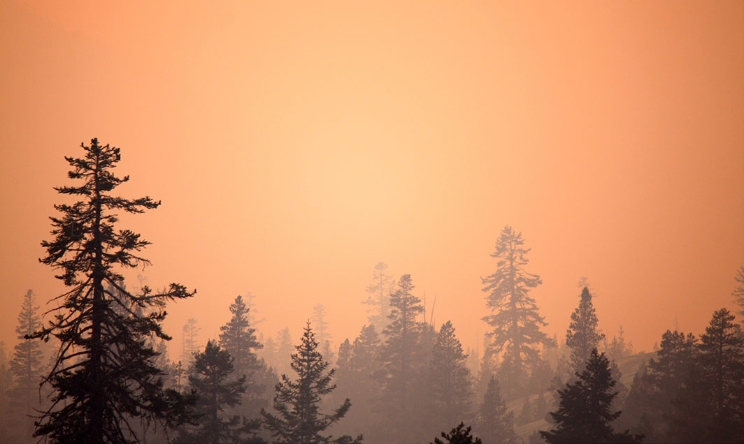 *Forest fire at Yosemite National Park, California, August 24, 2013.* Laurentia Romaniuk/Flickr