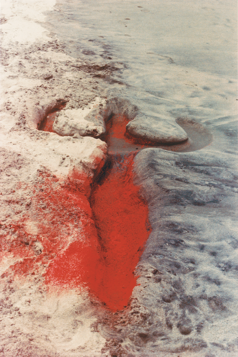 *Ana Mendieta, _Untitled: Silueta Series, Mexico_ (detail), 1976/1991*, silver dye-bleach print, framed 24 ¼ × 18 ¼". From the series "Silueta Works in Mexico," 1973–77.