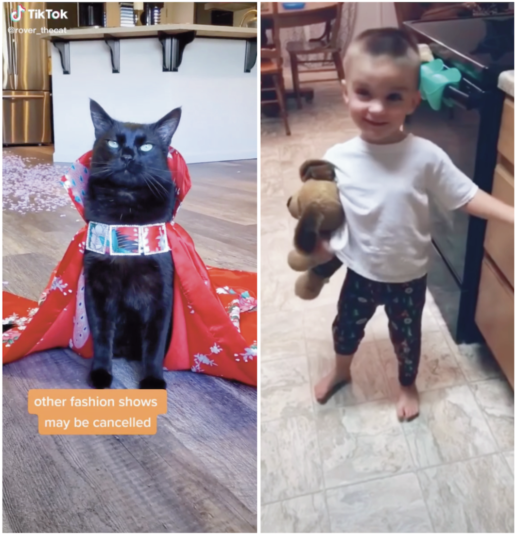 Left: Rover the Cat TikTok screen grab, May 23, 2020. Right: Kayla Holley TikTok screen grab, February 10, 2020.