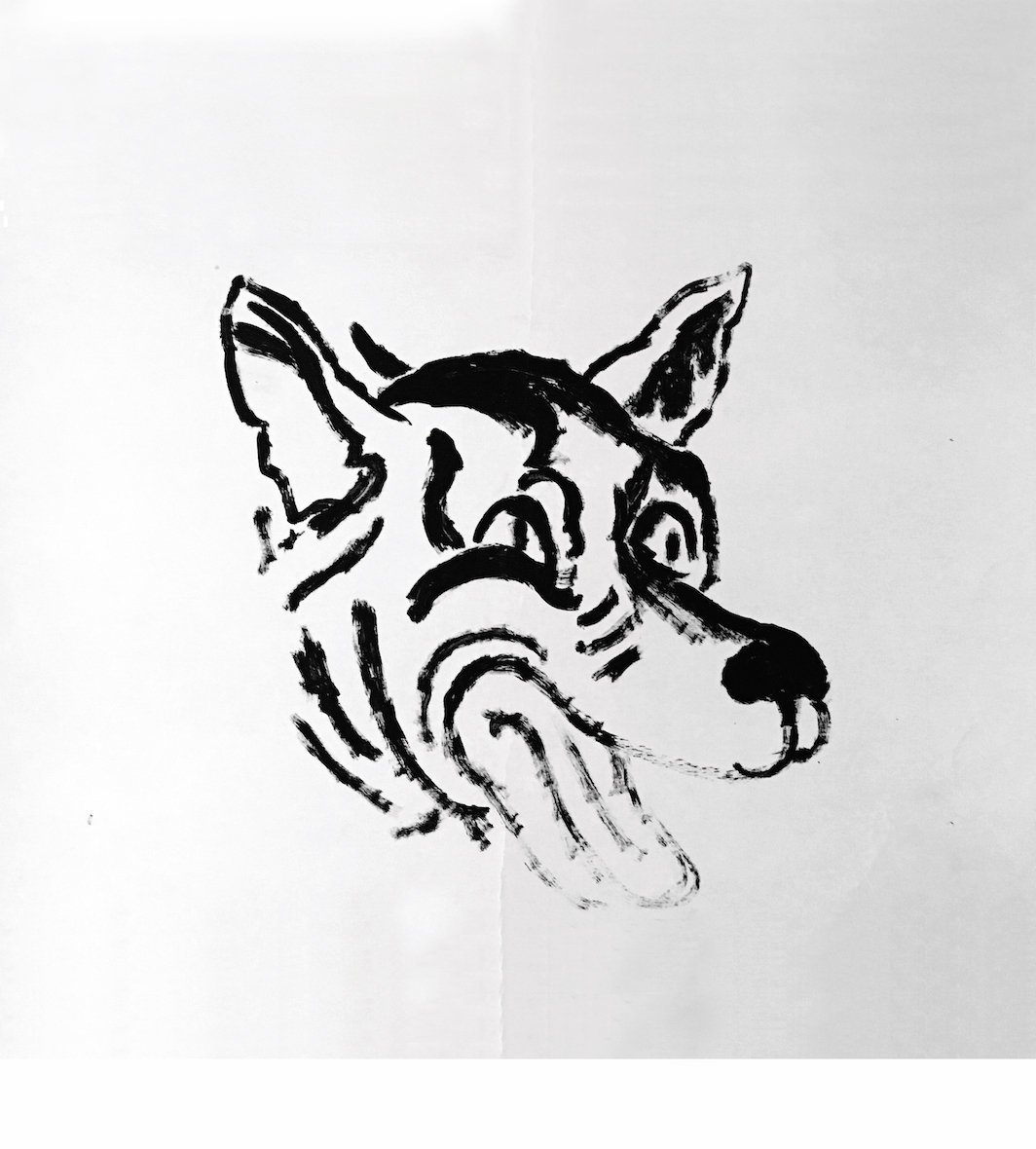 *David Wojnarowicz, _Untitled (Wolf)_, 1983,* ink on paper, sheet size 22 x 28".