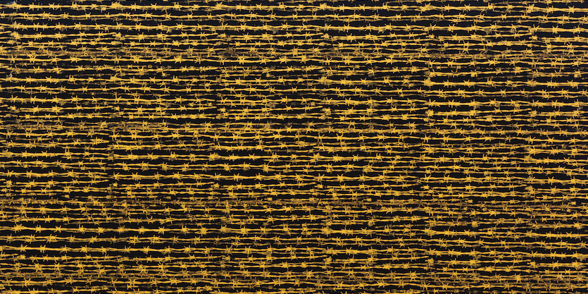 *Koralegedara Pushpa Kumara, _Barbed Wire (IV)_ (detail), 2012,* silk screen on canvas, 48 x 66". Courtesy the artist and Exhibit320