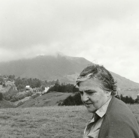 *Etel Adnan*. Photo: Simone Fattal