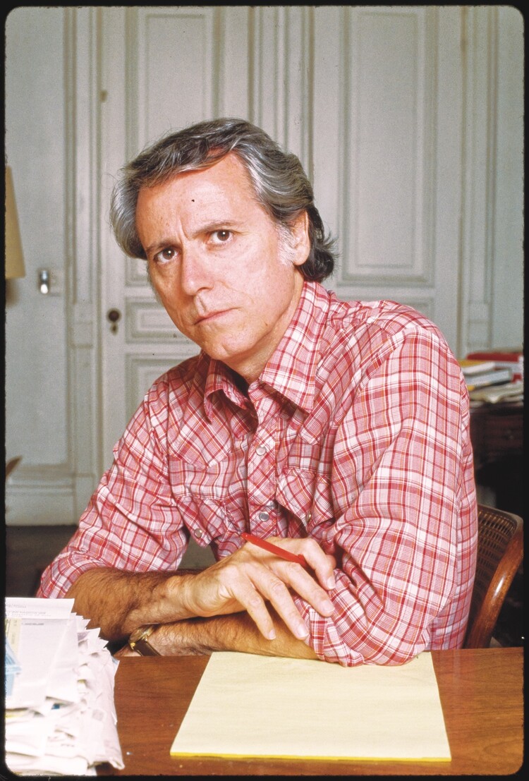 *Don DeLillo, 1988.* |https://www.loc.gov/pictures/item/2020730626/|Bernard Gotfryd/Library of Congress Prints and Photographs|